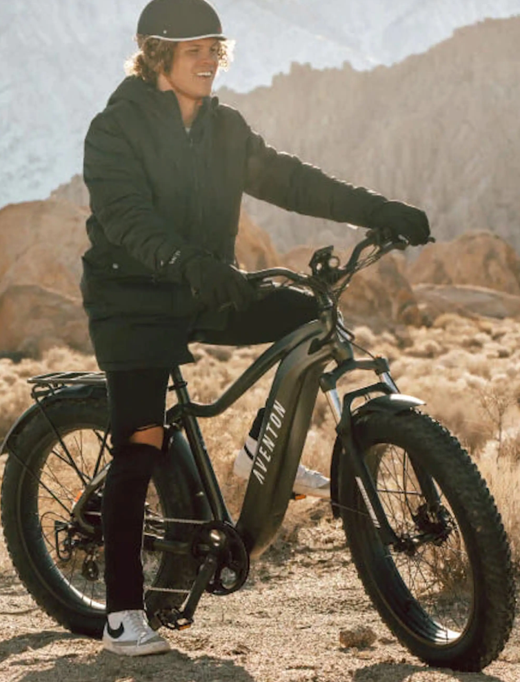 AVENTON Aventure.2 E Bike