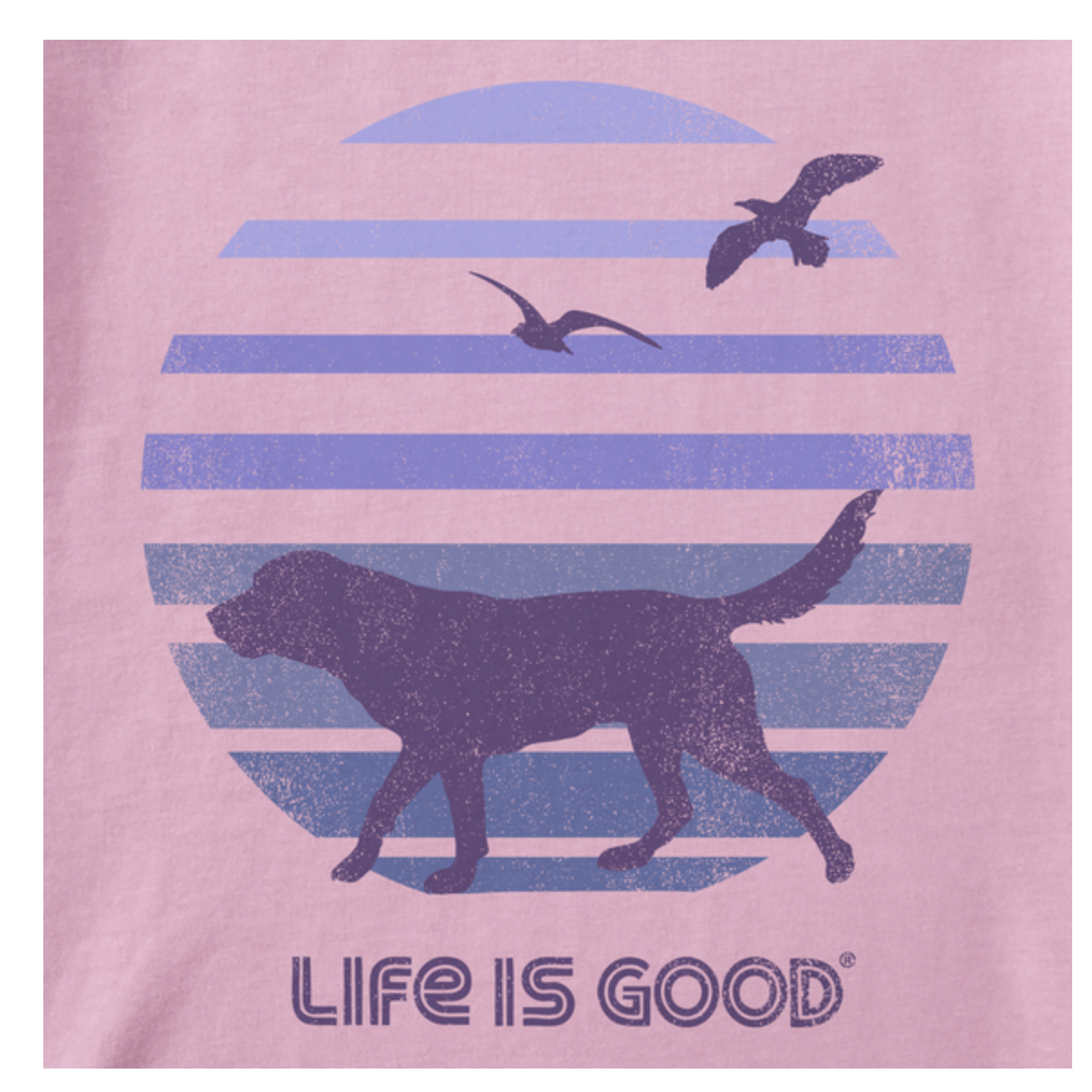 Women's 70's Retro Dog Beach Walk Long Sleeve Crusher-LITE Hooded Tee