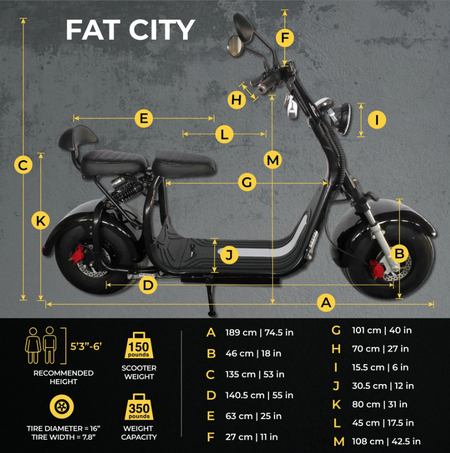 Cruiser / E Bikes